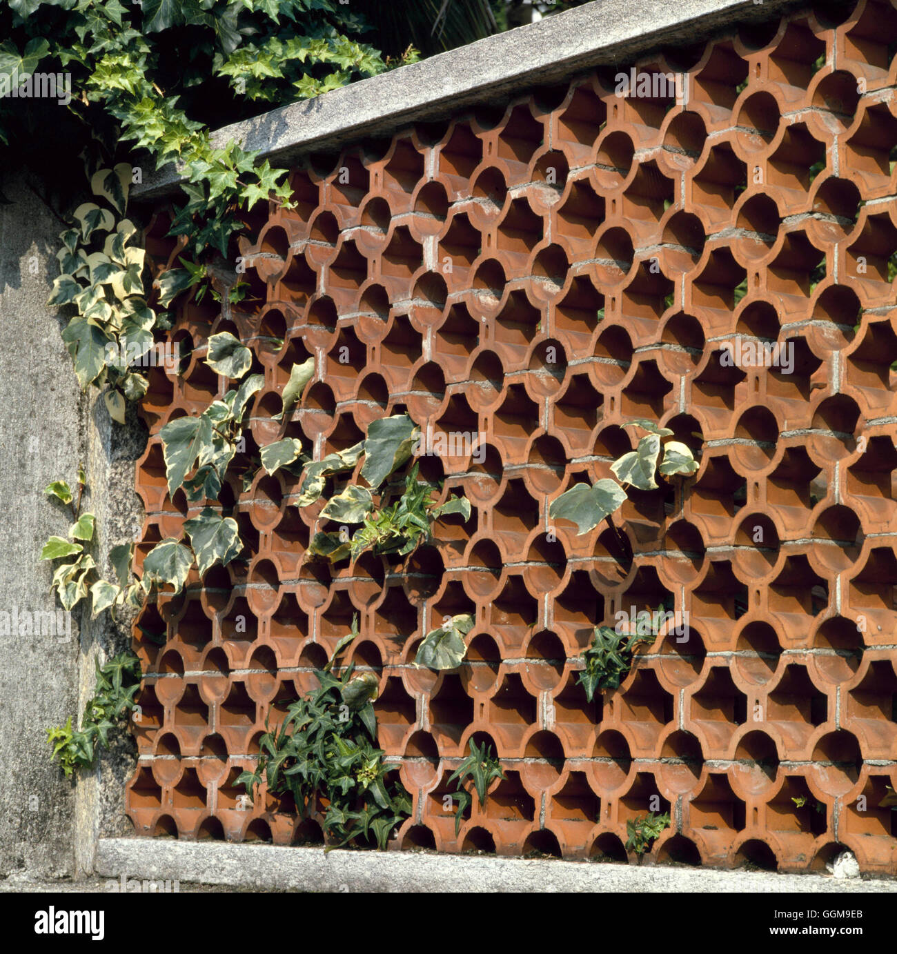 Wall - constructed from terra-cotta `pipes'   WAL003448 Stock Photo